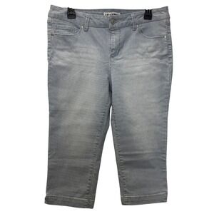Artisan NY Blue/White Striped Capri Bermuda Pants Size 10 | Casual‎ Summer Jeans